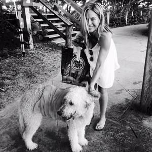 Meet your Posher, Dawn